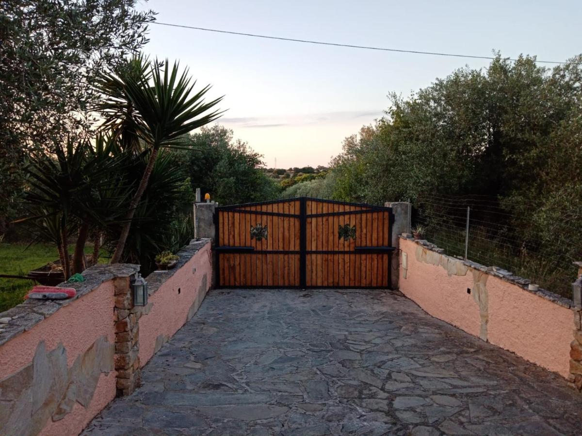 Villa Relax Tra Gli Ulivi Αλγκέρο Εξωτερικό φωτογραφία