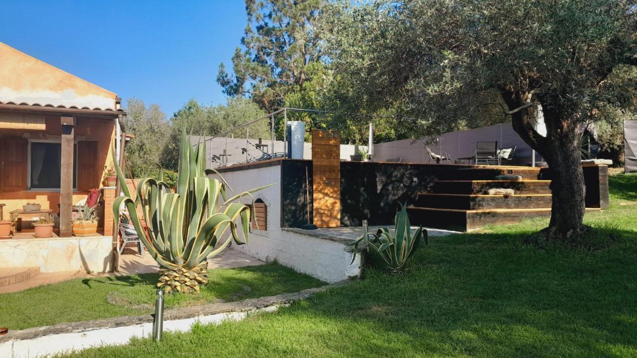 Villa Relax Tra Gli Ulivi Αλγκέρο Εξωτερικό φωτογραφία
