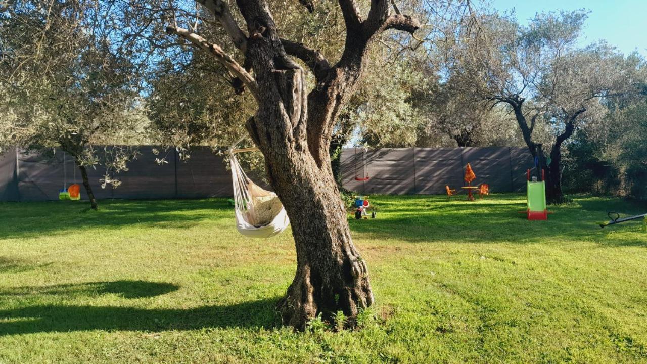 Villa Relax Tra Gli Ulivi Αλγκέρο Εξωτερικό φωτογραφία