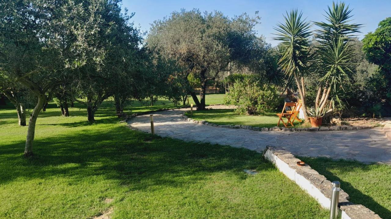Villa Relax Tra Gli Ulivi Αλγκέρο Εξωτερικό φωτογραφία