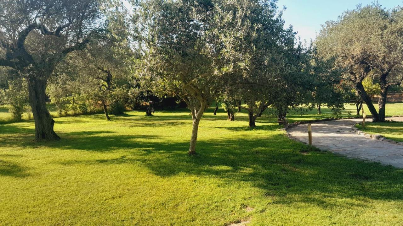 Villa Relax Tra Gli Ulivi Αλγκέρο Εξωτερικό φωτογραφία