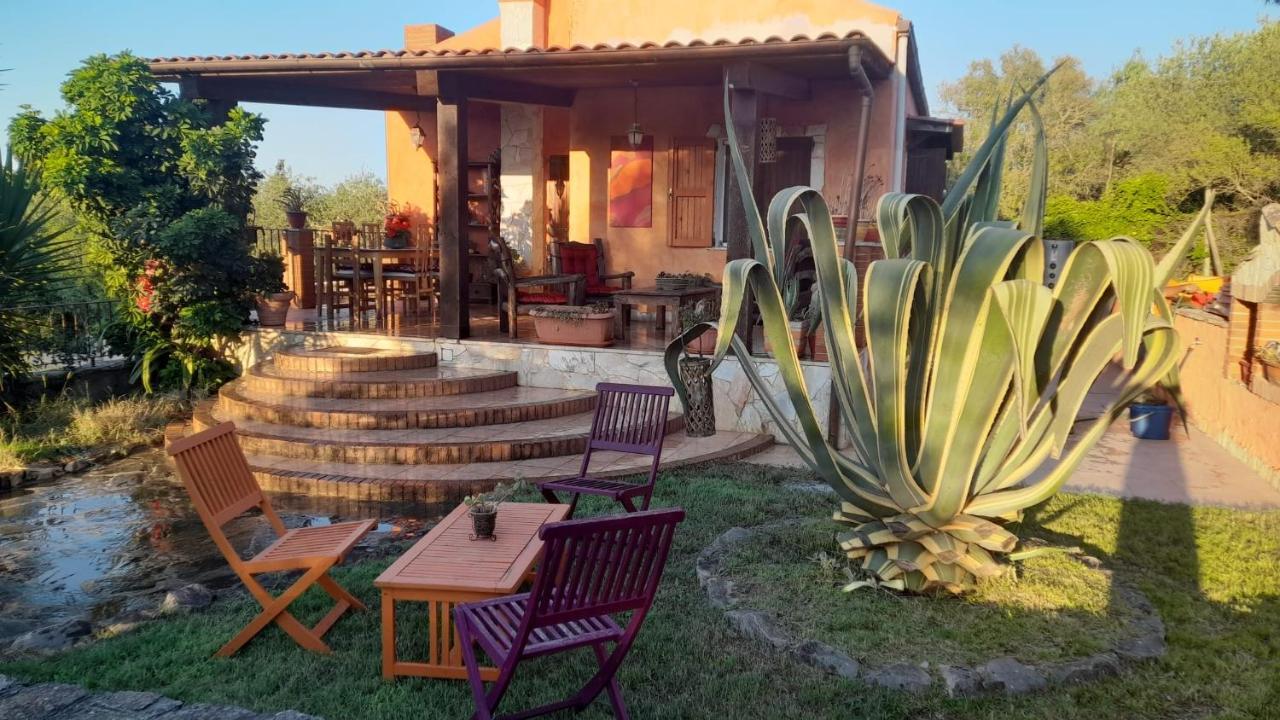 Villa Relax Tra Gli Ulivi Αλγκέρο Εξωτερικό φωτογραφία