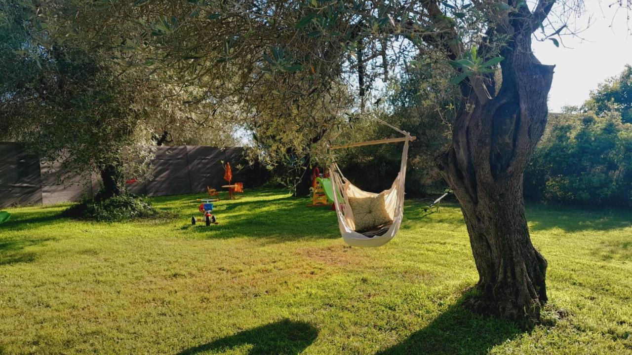 Villa Relax Tra Gli Ulivi Αλγκέρο Εξωτερικό φωτογραφία